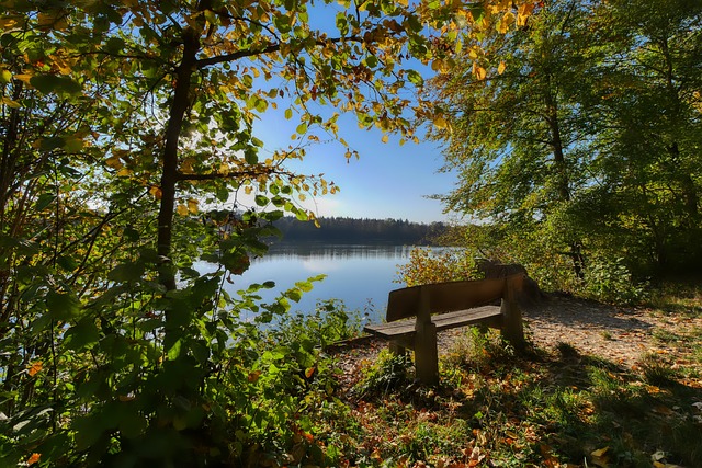 讨张琳芃在 讨张琳芃在