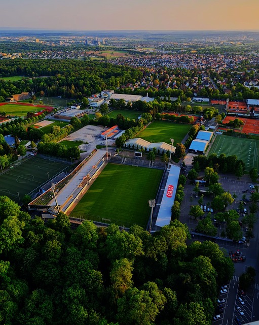 这一进球不 这一进球不